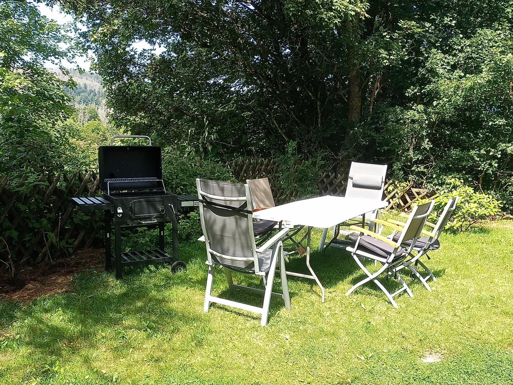 Ferienwohnung Endora Im Harzer Stil, Handgefertigte Moebel - Wlan-Garage Hohegeiss Luaran gambar